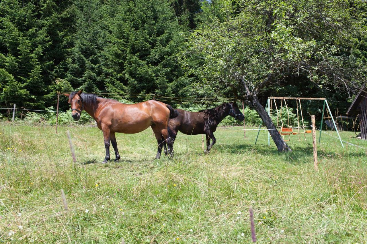Pleschinhof Farm stay Velden am Woerthersee