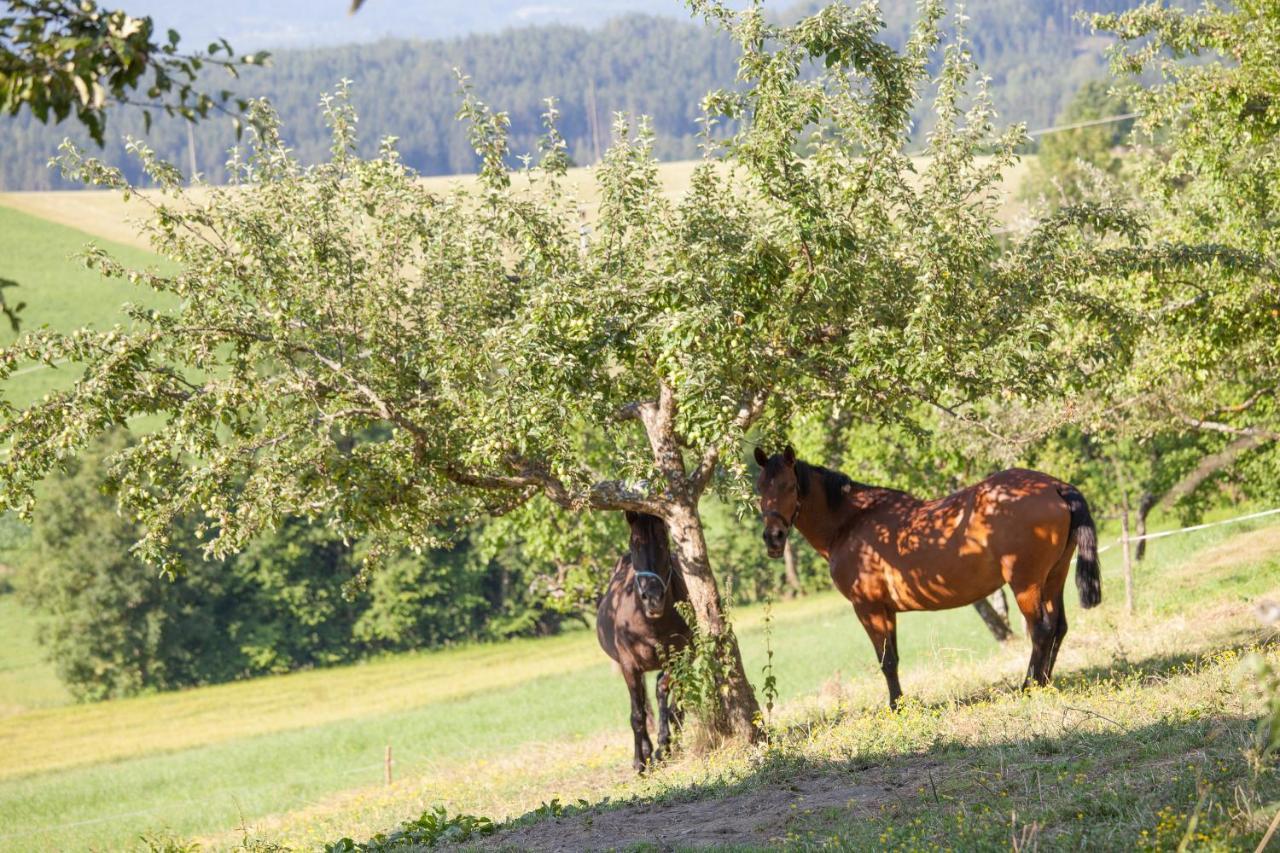 Farm stay Pleschinhof *